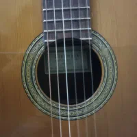 آموزش گیتار بانوان