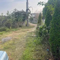 زمین ۲۶۵ متری داخل بافت دور دیوار،کاسبی|فروش زمین و ملک کلنگی|شیرود, |دیوار