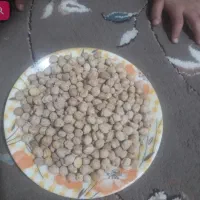 نخود