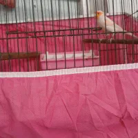 اورجینال نرمست