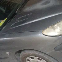 ۲۰۶ فرانسوی