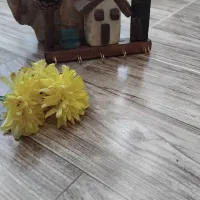 جاکلیدی چوبی طرح کلبه|صنایع دستی و سایر لوازم تزئینی|نیشابور, شهرک ولیعصر|دیوار