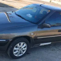 جنگنده وحشی زانتیا