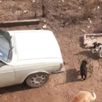 وانت مدل ۹۰ بی رنگ|خودرو سواری و وانت|فیروزه, |دیوار