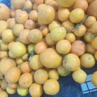 پرتغال آبدار