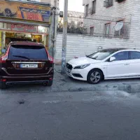 صافکار ماهر و کار بلد با چندین سال سابقه