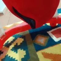 روروعک|اسباب و اثاث بچه|نشتارود, |دیوار