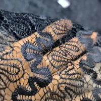 پارچه متری|لباس|میاندوآب, |دیوار