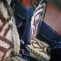 مدل 89|خودرو سواری و وانت|بوشهر, |دیوار