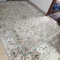 فروش فوری فرش|فرش|ایذه, |دیوار