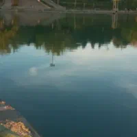 مکالمه انگلیسی  ،تافل و آیلتس و کتب درسی انگلیسی