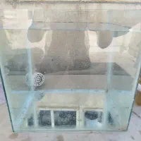 آکواریوم 30 سانتی
