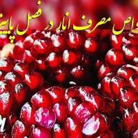 مهربانی و اعتبار ملی