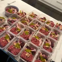 غذا خونگی گربه و سگ|لوازم جانبی حیوانات|شیراز, سرو|دیوار