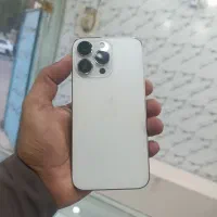 13pro