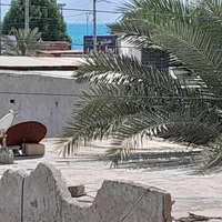 اجاره روزانه/هفتگی/ماهانه آپارتمان ۱۰۰ متری کنگان|اجارهٔ کوتاه‌مدت آپارتمان و سوئیت|بندر کنگان, |دیوار