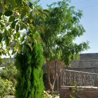 ۲۰۰۰ زمین داخل بافت ویلایی باآب زاک ماریان|فروش زمین و ملک کلنگی|مشهد, الهیه|دیوار