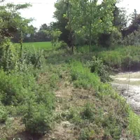 سرمایه گذاری ومشارکت