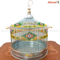 شاه سهره خاکی نر شاه مرغ|پرنده|اصفهان, جاوان|دیوار