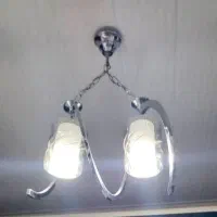 لوستر دو شاخه کاملا سالم فقط ۱ تومن