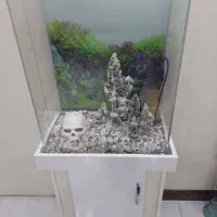 اکواریوم با لوازم