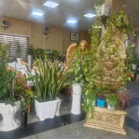 کارگر ساده خانم جهت کار در رستوران