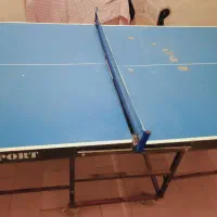 میز پینگ پنگ