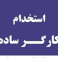 نیروی کار ساده سالنداری