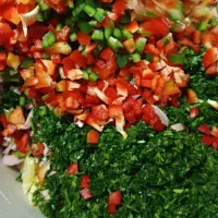 سمبوسه پیتزایی میپزم لطفا حمایتم کنید|خوردنی و آشامیدنی|اصفهان, کارلادان|دیوار