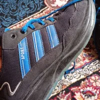 کفش پسرانه|کیف، کفش، کمربند|سبزوار, جهاد کشاورزی|دیوار