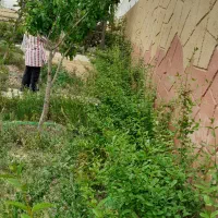 باغ هزار متری کلاکوب جاده کلات|فروش خانه و ویلا|مشهد, کلاکوب|دیوار