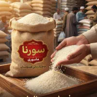 برنج سونا ماسوری