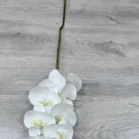 گل مصنوعی|گل مصنوعی|ری, ولی آباد|دیوار