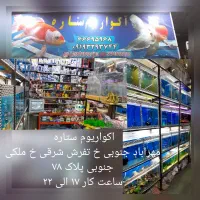 آکواریوم ستاره ماهی لوازم و خدمات کامل