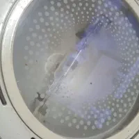 تعدادی لامپ سقفی وپرژکتوری