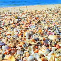 تور ریلی قشم آبان ماه