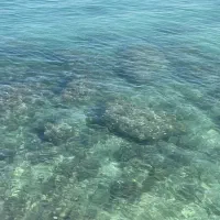 راهنمایی مسافران قشم