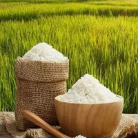 برنج هاشمی آستانه