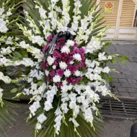 گلکده ارکیده|حراج|اصفهان, مرداویج|دیوار