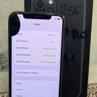 آیفون ۱۱ پرو با حافظه ۲۵۶ گیگابایت|موبایل|پاکدشت, پاکدشت (مامازند)|دیوار