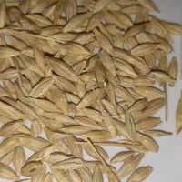 سه محور کمپرس بره کاور جو بذر ی دیمه دوپر دامی