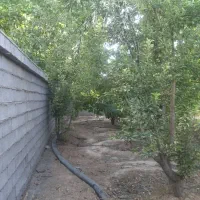 باغ باغچه/1000متر/شهر فاروق|فروش زمین و ملک کلنگی|شیراز, کوی فرهنگیان|دیوار