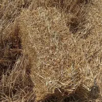 پرس کاه گندم