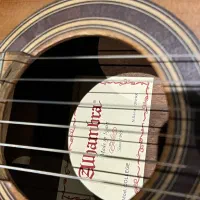 الحمبرا کالج ( تر و تمیز صدای فوق العاده )|گیتار، بیس، امپلیفایر|بندرعباس, |دیوار