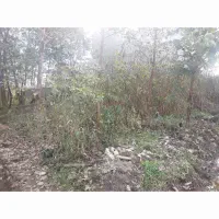 فروش فوری زمین مسکونی شهری|فروش زمین و ملک کلنگی|خشکبیجار, |دیوار