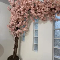 دکور و سرشور و صندلی انتظار سالن زیبایی