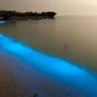 تور قشم ویژه ی دی ماه 1404