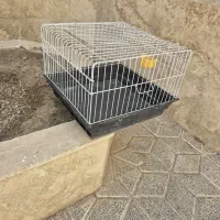 قفس خرگوش
