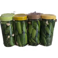 محصولات خانگی|خوردنی و آشامیدنی|فرخ‌شهر, |دیوار