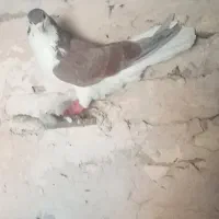 موقعیت مکانی شهرستان سرخس